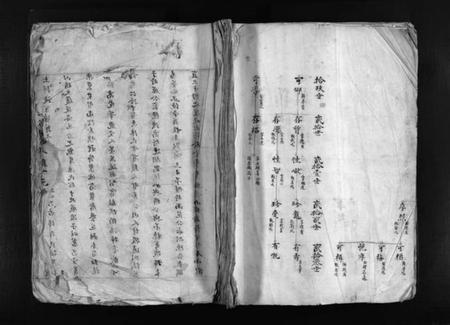 浙江陈氏族谱-鹤峯陈氏族谱 [不分卷].pdf电子版插图1