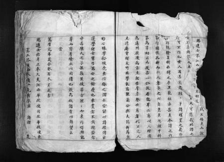 浙江陈氏族谱-鹤峯陈氏族谱 [不分卷].pdf电子版插图4