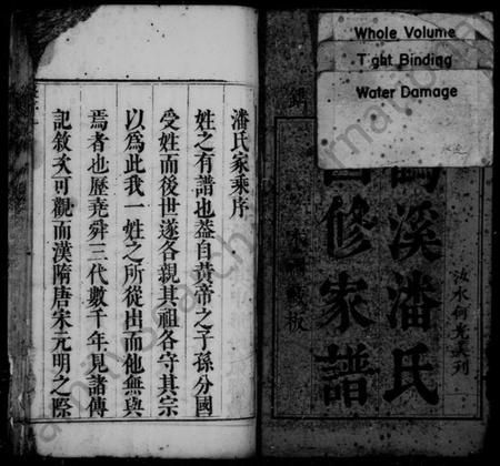 浙江潘氏族谱-鹤溪潘氏四修家谱 [13卷].pdf电子版插图3