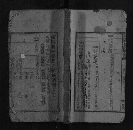 湖南杨氏族谱-邵东新桥杨氏四修族谱.pdf电子版插图