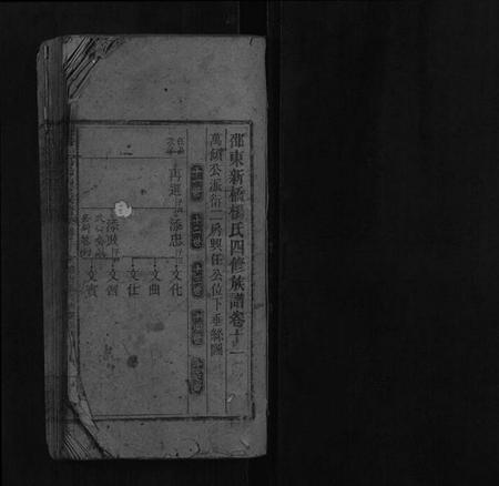 湖南杨氏族谱-邵东新桥杨氏四修族谱.pdf电子版插图1