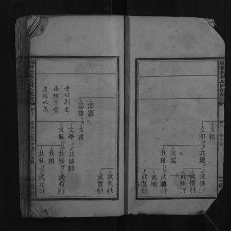 湖南杨氏族谱-邵东新桥杨氏四修族谱.pdf电子版插图2