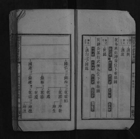湖南杨氏族谱-邵东新桥杨氏四修族谱.pdf电子版插图4