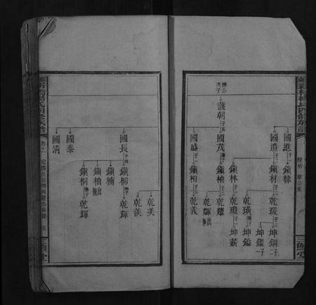 湖南杨氏族谱-邵东新桥杨氏四修族谱.pdf电子版插图5