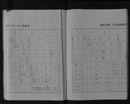 江苏廖氏族谱-廖氏宗谱[不分卷].pdf电子版插图4