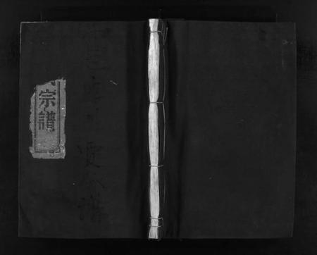 浙江贾氏族谱-鹿岩贾氏宗谱 [不分卷].pdf电子版插图1