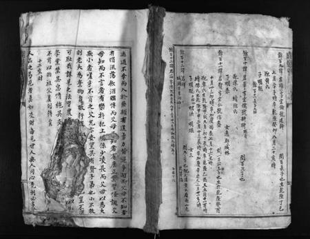 浙江贾氏族谱-鹿岩贾氏宗谱 [残卷].pdf电子版插图1
