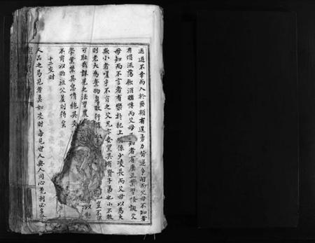 浙江贾氏族谱-鹿岩贾氏宗谱 [残卷].pdf电子版插图2