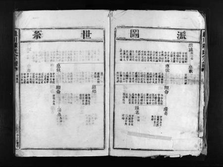 浙江陈氏族谱-丽川陈氏宗谱 [残卷].pdf电子版插图3