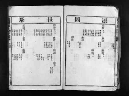 浙江陈氏族谱-丽川陈氏宗谱 [残卷].pdf电子版插图4
