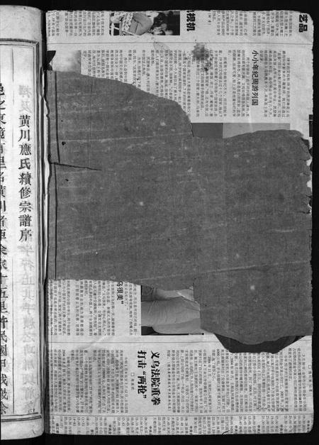 浙江应氏族谱-黄川应氏宗谱 [12卷].pdf电子版插图2