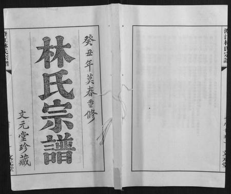 江苏林氏族谱-澄江林氏宗谱.pdf电子版插图