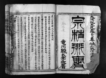 浙江郑氏族谱-黄犊大房郑氏房谱 [不分卷].pdf电子版插图3