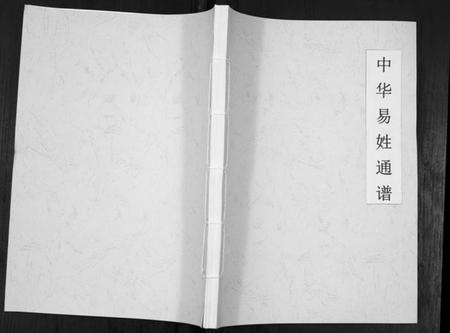 湖南易氏族谱-中华易姓通谱.pdf电子版插图