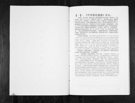 湖南易氏族谱-中华易姓通谱.pdf电子版插图2