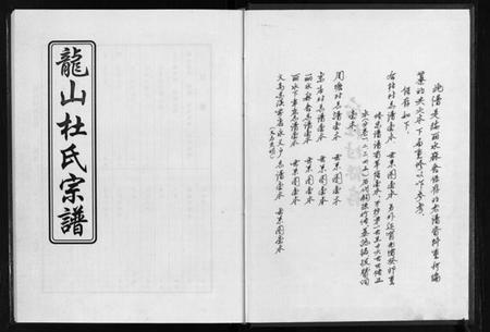 浙江杜氏族谱-龙山杜氏宗谱 [不分卷].pdf电子版插图3