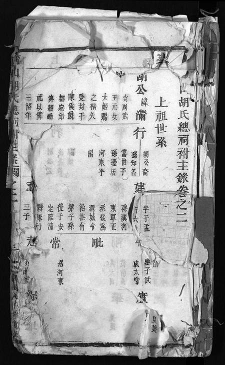 浙江胡氏族谱-龙山胡氏总祠祔主录 [残卷].pdf电子版插图2