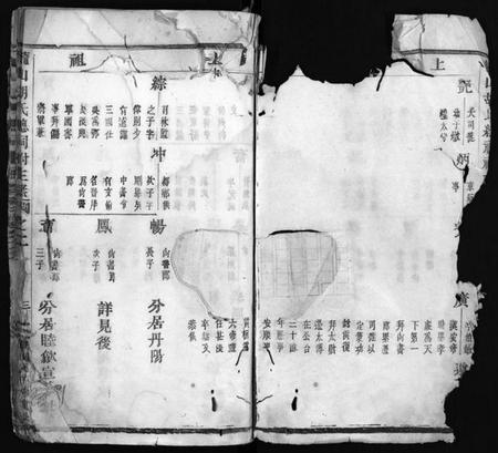 浙江胡氏族谱-龙山胡氏总祠祔主录 [残卷].pdf电子版插图4
