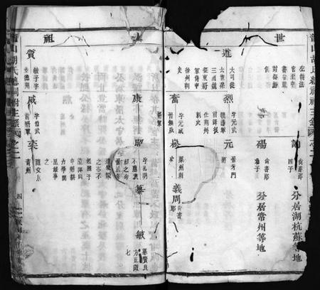 浙江胡氏族谱-龙山胡氏总祠祔主录 [残卷].pdf电子版插图5
