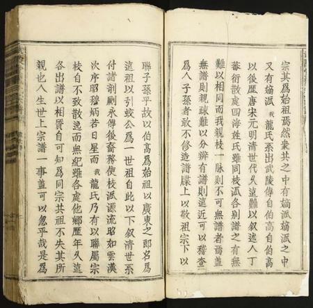 江西龙氏族谱-武陵堂龙氏宗谱.pdf电子版插图2