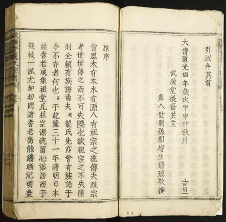 江西龙氏族谱-武陵堂龙氏宗谱.pdf电子版插图3
