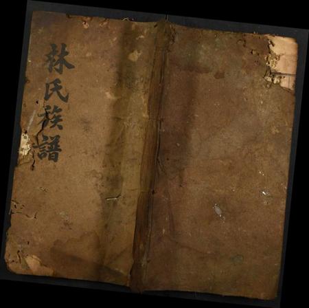 湖北林氏族谱-林氏族谱.pdf电子版插图