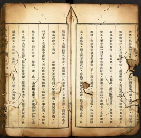湖北林氏族谱-林氏族谱.pdf电子版插图3