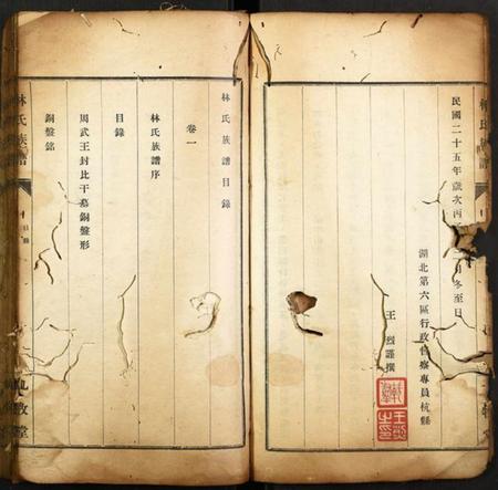 湖北林氏族谱-林氏族谱.pdf电子版插图4