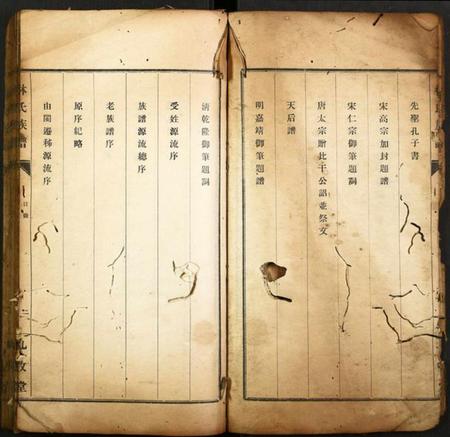 湖北林氏族谱-林氏族谱.pdf电子版插图5