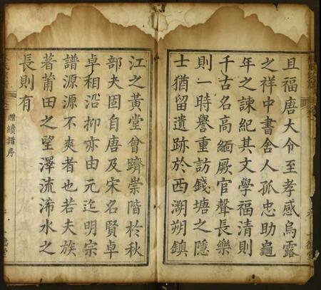 湖北林氏族谱-林氏族谱.pdf电子版插图4