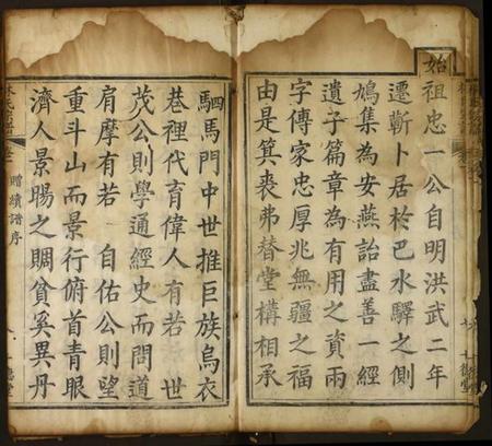 湖北林氏族谱-林氏族谱.pdf电子版插图5