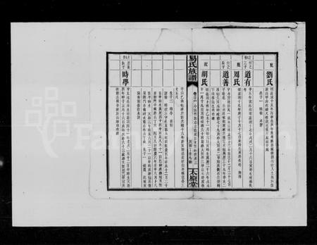 湖南易氏族谱-易氏族谱.pdf电子版插图4