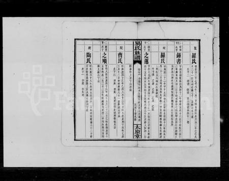湖南易氏族谱-易氏族谱.pdf电子版插图5