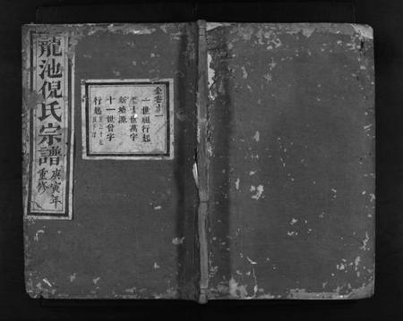 浙江倪氏族谱-龙池倪氏宗谱 [总卷数不详].pdf电子版插图1