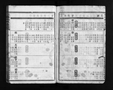 浙江倪氏族谱-龙池倪氏宗谱 [总卷数不详].pdf电子版插图3