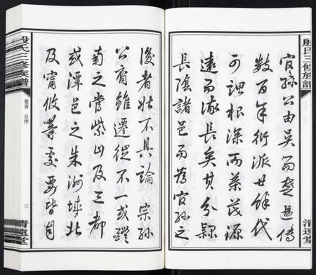 湖南殷氏族谱-殷氏三修族谱[30卷首次末各1卷].pdf电子版插图5