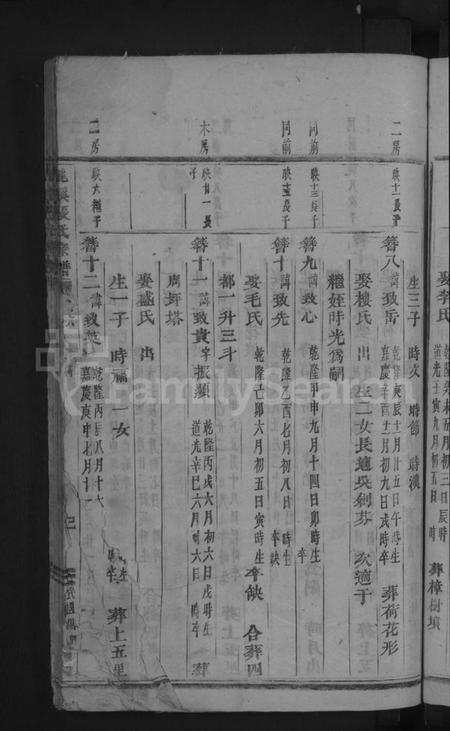 浙江张氏族谱-龙溪张氏宗谱[总卷数不详].pdf电子版插图5