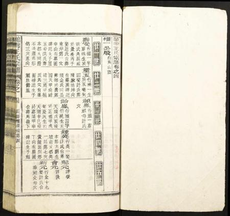 浙江王氏族谱-龙湾王氏宗谱.pdf电子版插图1
