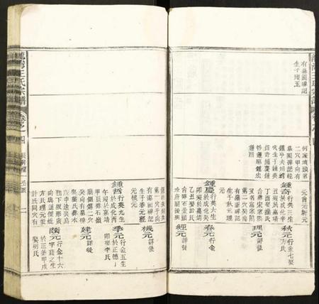 浙江王氏族谱-龙湾王氏宗谱.pdf电子版插图2