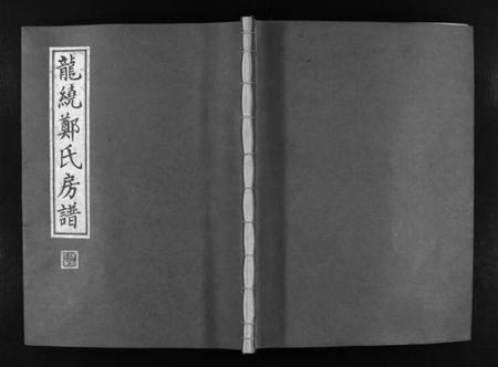 浙江郑氏族谱-龙绕郑氏房谱 [不分卷].pdf电子版插图1