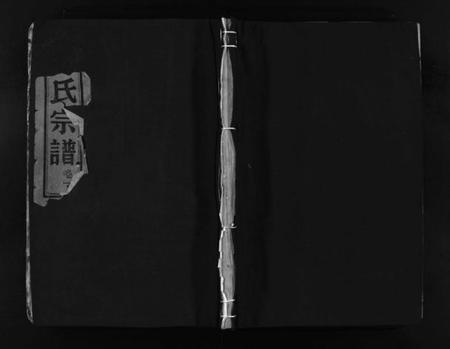 浙江万氏族谱-龙门万桥扶风万氏宗谱 [9卷].pdf电子版插图1