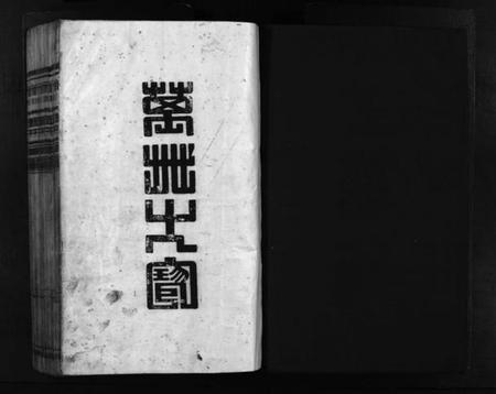 浙江金氏族谱-龙门金氏宗谱 [不分卷].pdf电子版插图2