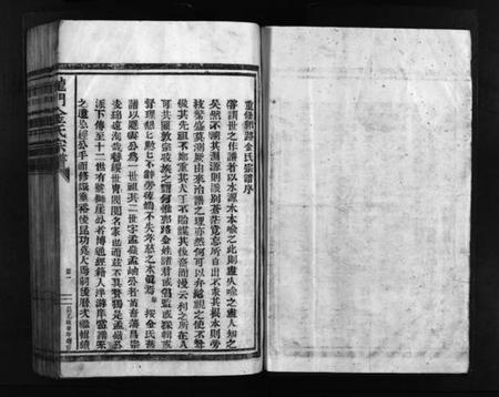 浙江金氏族谱-龙门金氏宗谱 [不分卷].pdf电子版插图3