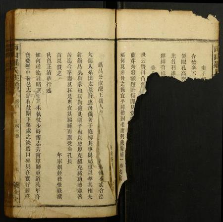 江西罗氏族谱-南山罗氏族谱.pdf电子版插图1