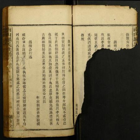 江西罗氏族谱-南山罗氏族谱.pdf电子版插图2