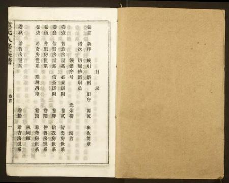 湖南袁氏族谱-袁氏八修族谱.pdf电子版插图1