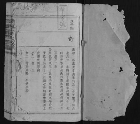 江西罗氏族谱-禄源罗氏族谱.pdf电子版插图1