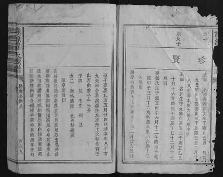 江西罗氏族谱-禄源罗氏族谱.pdf电子版插图2