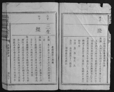 江西罗氏族谱-禄源罗氏族谱.pdf电子版插图3