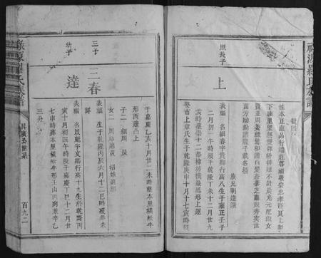 江西罗氏族谱-禄源罗氏族谱.pdf电子版插图5